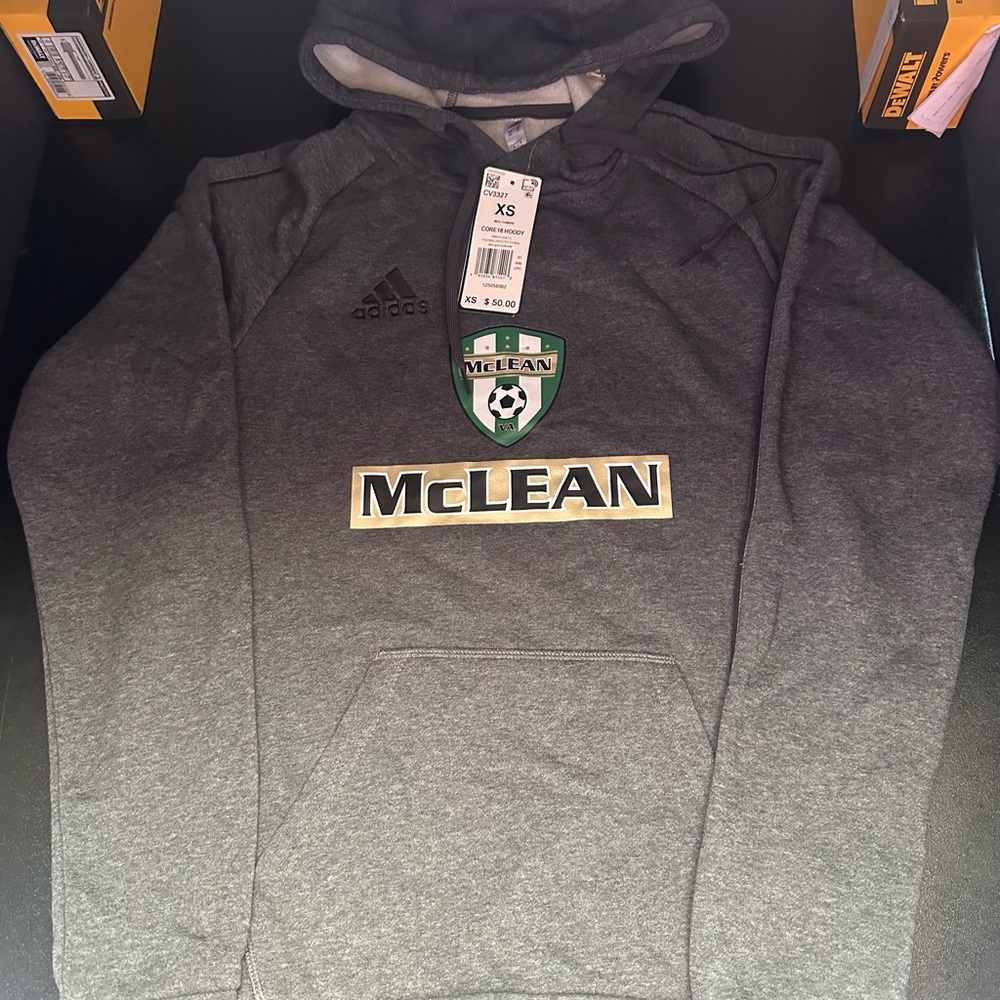 Adidas Gray Sweatshirt with Ombré Effect